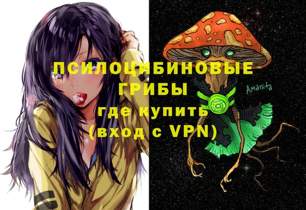 дмт Киреевск