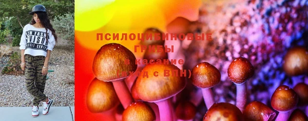дмт Киреевск