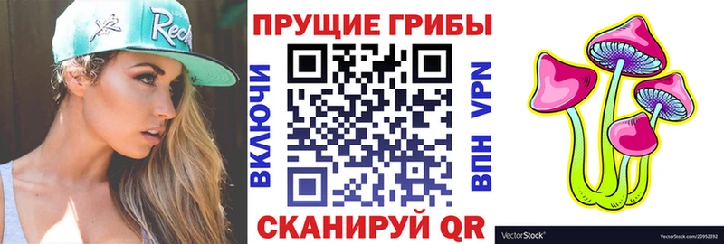 Купить закладки  Пенза  Галлюциногенные грибы прущие грибы 